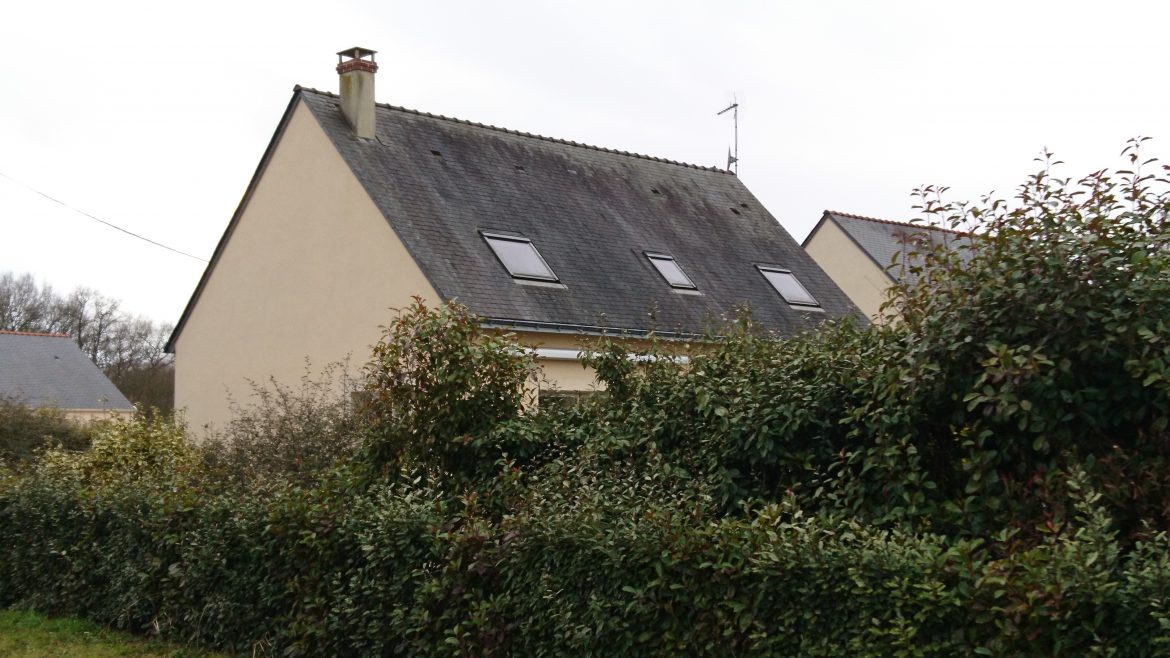 Isolation Rampant de Toiture : Tout savoir sur leur Isolation